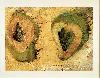 Deux papayes (reverso de Double portrait) (1995) (Miquel Barcelo)