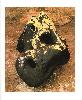 Polimorf groc i negre (Miquel Barcelo)