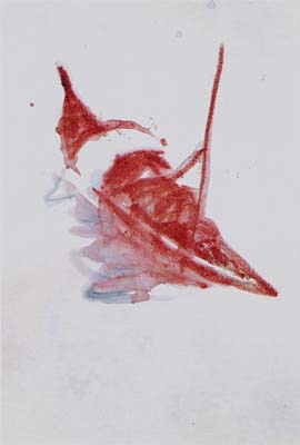 %Titulo_ant% (Miquel Barcelo)
