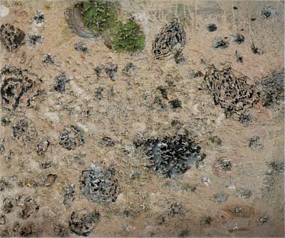 %Titulo_ant% (Miquel Barcelo)