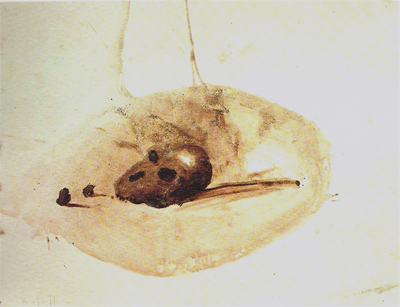 %Titulo_ant% (Miquel Barcelo)